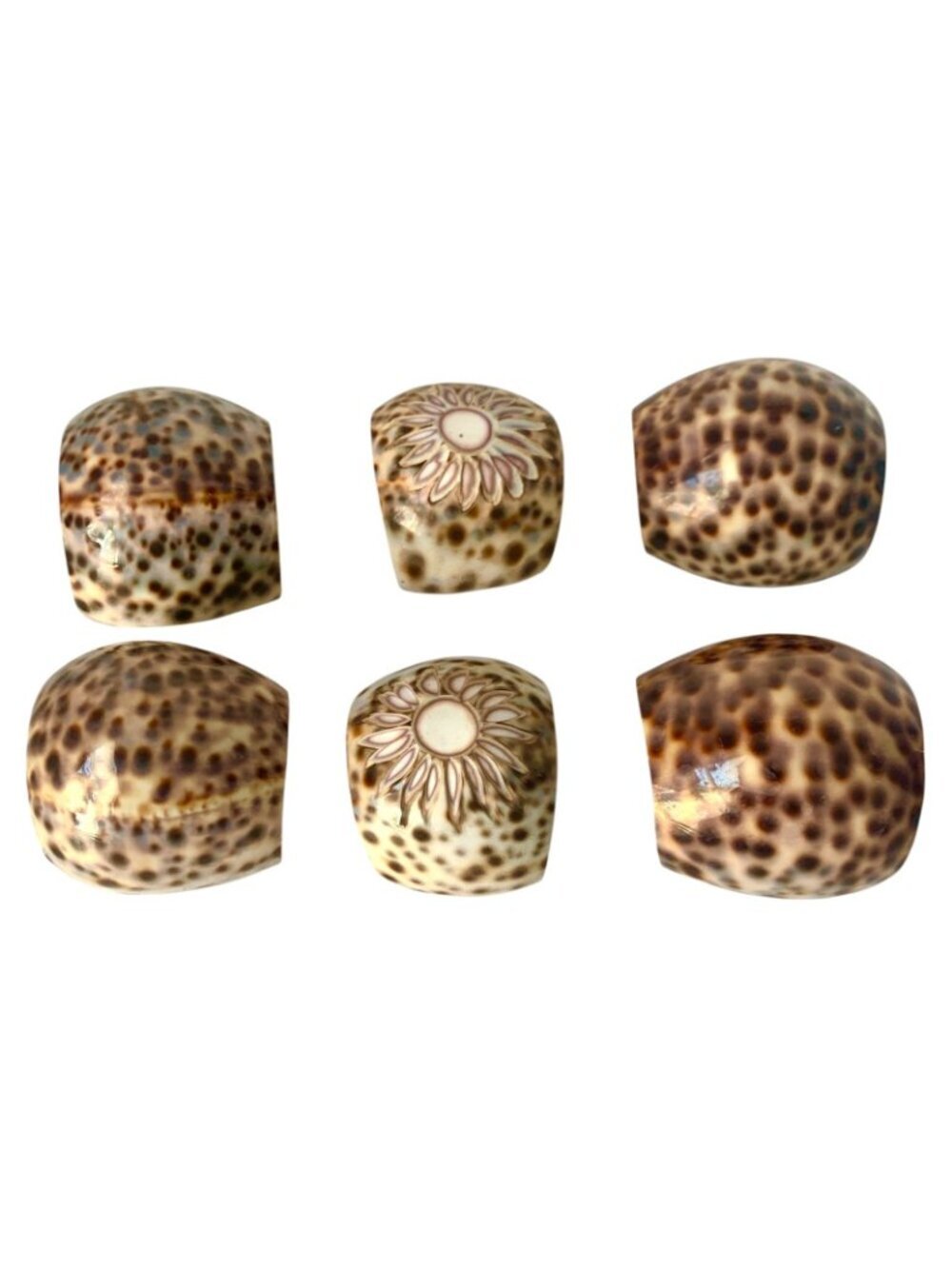 6 Tiger Cowrie Shell Napkin Rings Table Decor - Picture 2 of 7
